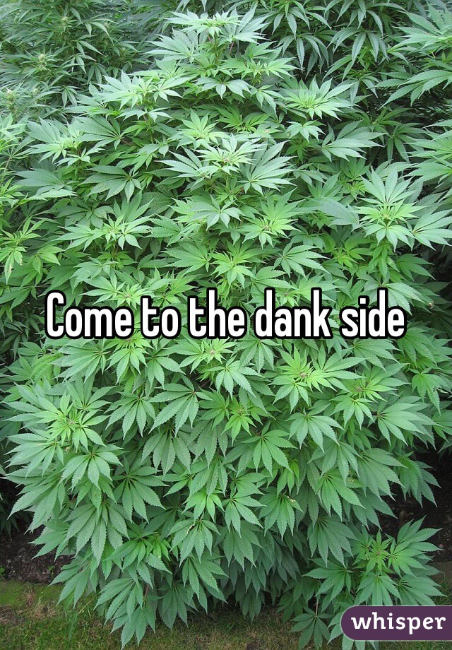 Come to the dank side