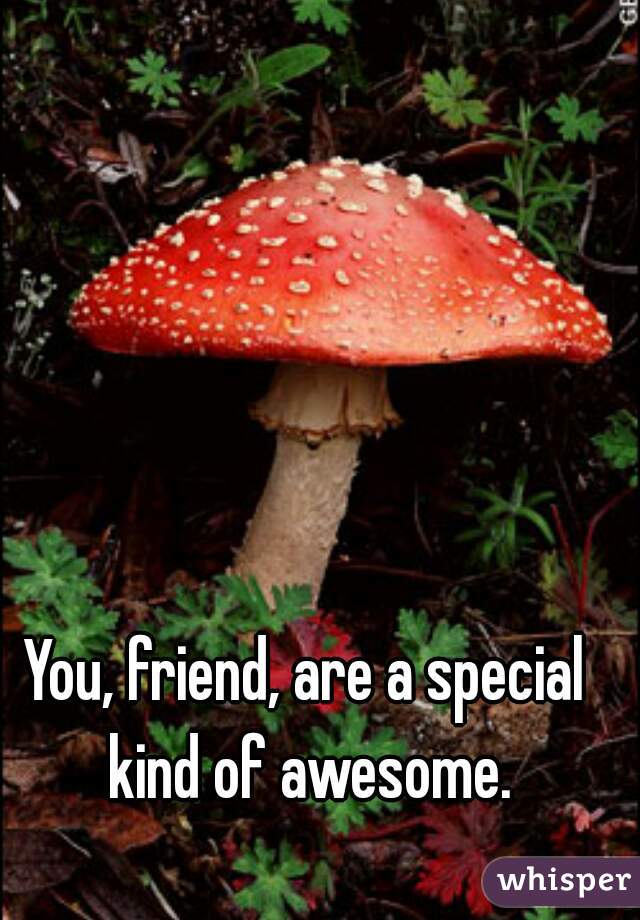 You, friend, are a special kind of awesome.