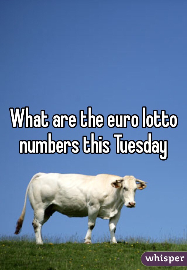What are the euro lotto numbers this Tuesday