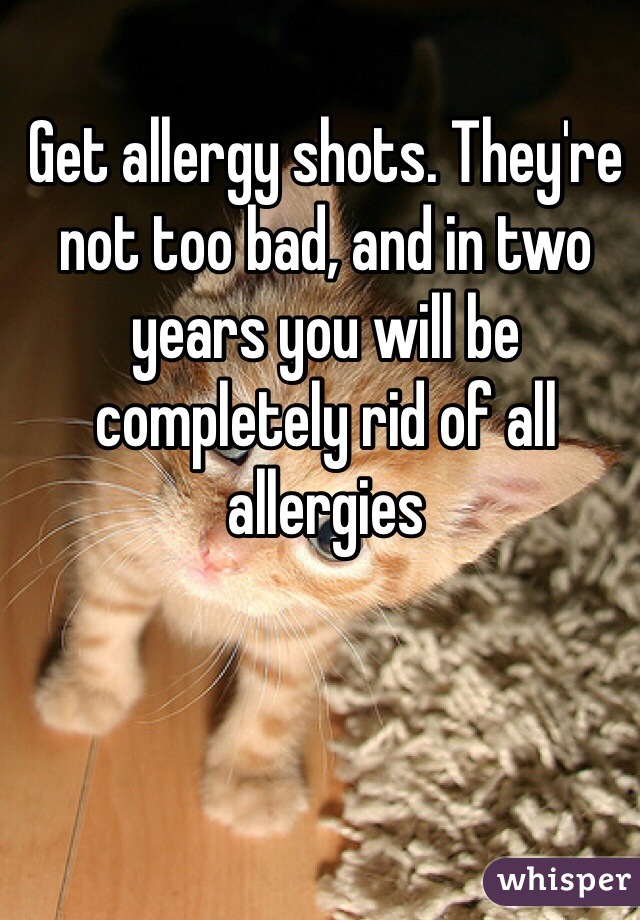 Get allergy shots. They're not too bad, and in two years you will be completely rid of all allergies