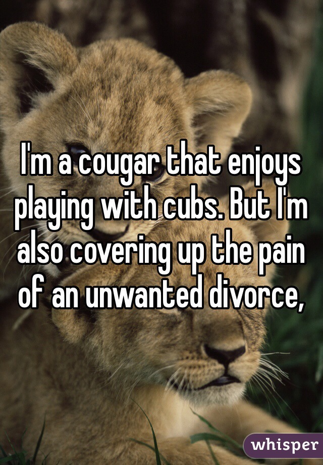 I'm a cougar that enjoys playing with cubs. But I'm also covering up the pain of an unwanted divorce, 