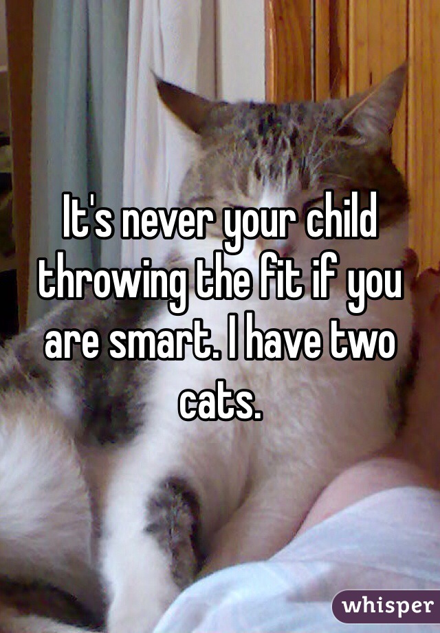 It's never your child throwing the fit if you are smart. I have two cats.