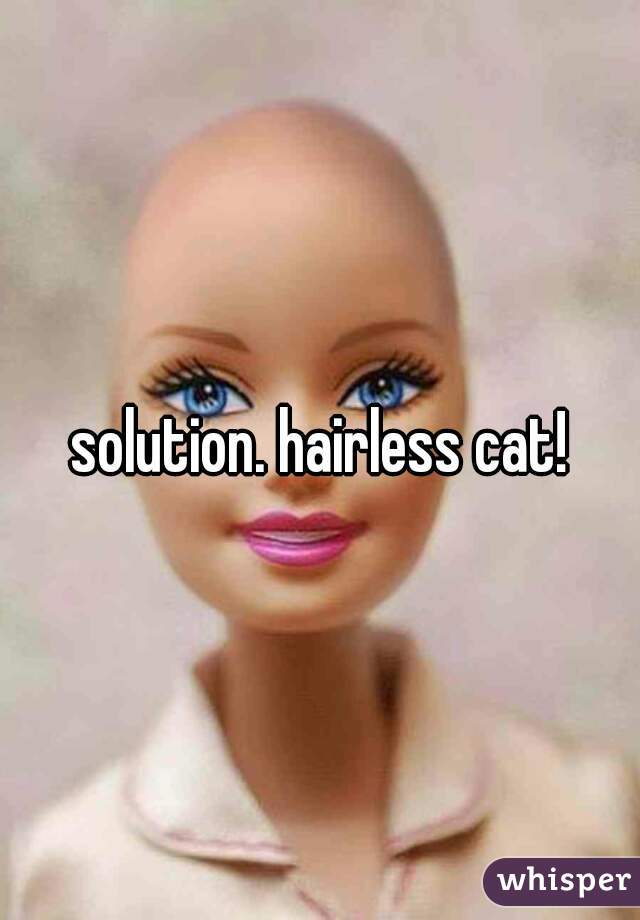 solution. hairless cat!