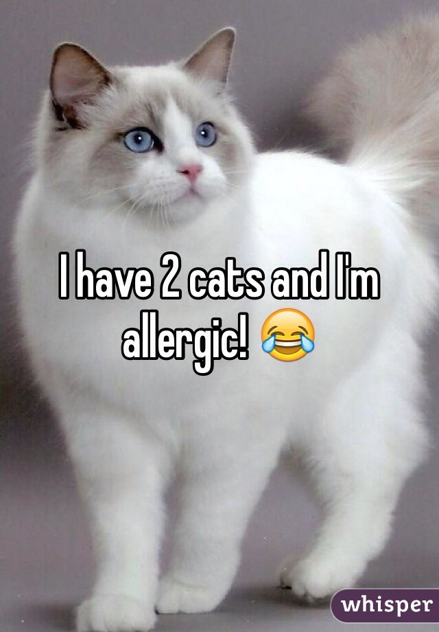I have 2 cats and I'm allergic! 😂