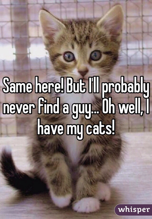 Same here! But I'll probably never find a guy... Oh well, I have my cats!