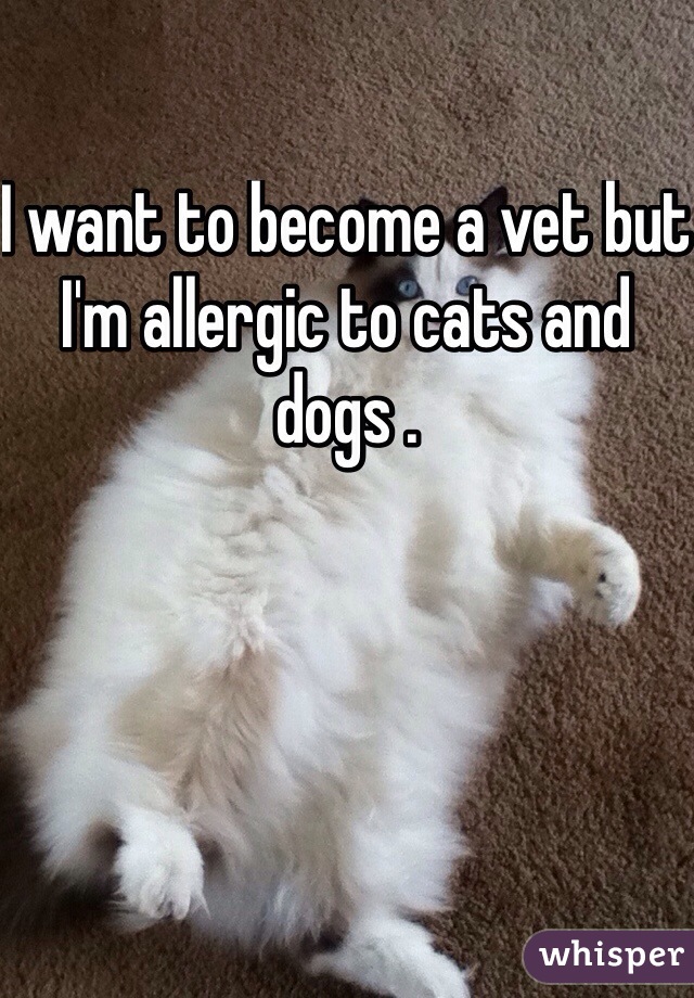 I want to become a vet but I'm allergic to cats and dogs .