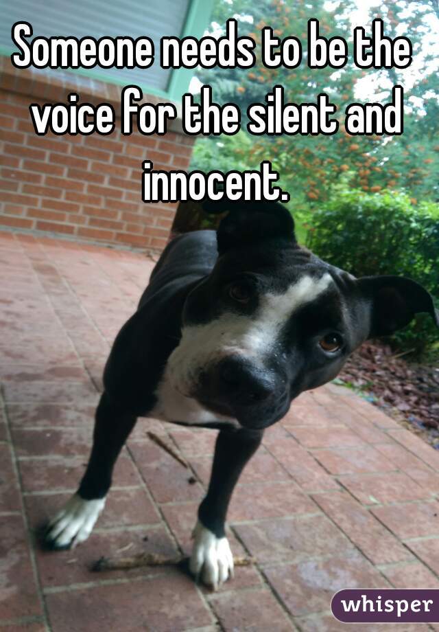 Someone needs to be the voice for the silent and innocent.