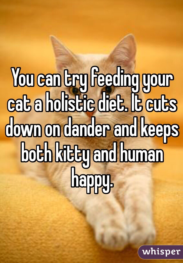 You can try feeding your cat a holistic diet. It cuts down on dander and keeps both kitty and human happy. 