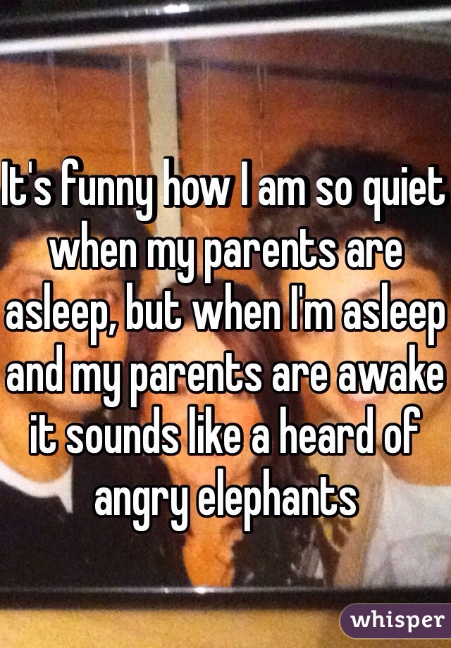 It's funny how I am so quiet when my parents are asleep, but when I'm asleep and my parents are awake it sounds like a heard of angry elephants