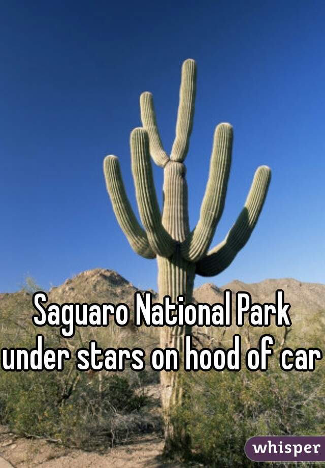 Saguaro National Park 

under stars on hood of car  