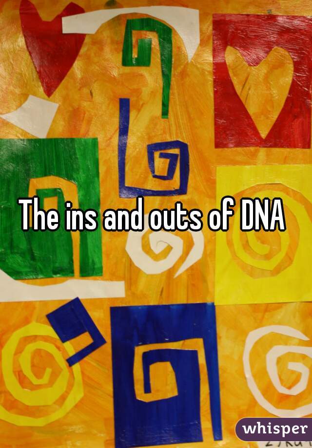 The ins and outs of DNA 