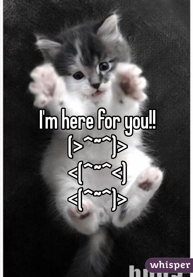 I'm here for you!!
(>^~^)>
<(^~^<)
<(^~^)>