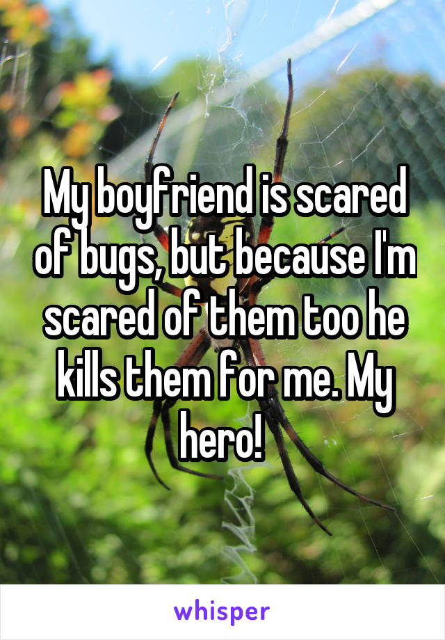 My boyfriend is scared of bugs, but because I'm scared of them too he kills them for me. My hero! 