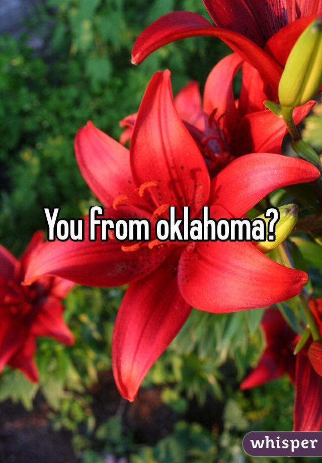 You from oklahoma?
