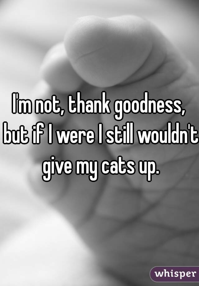 I'm not, thank goodness, but if I were I still wouldn't give my cats up.