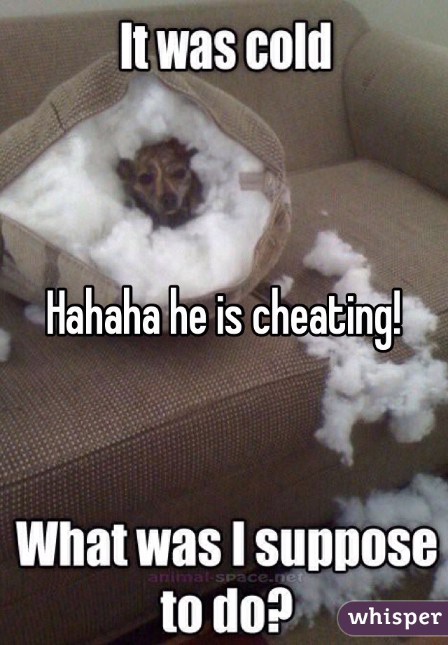 Hahaha he is cheating!