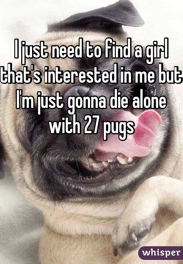 I just need to find a girl that's interested in me but I'm just gonna die alone with 27 pugs