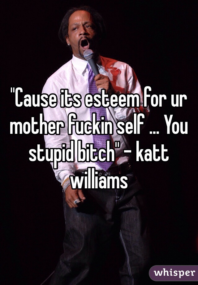 "Cause its esteem for ur mother fuckin self ... You stupid bitch" - katt williams 