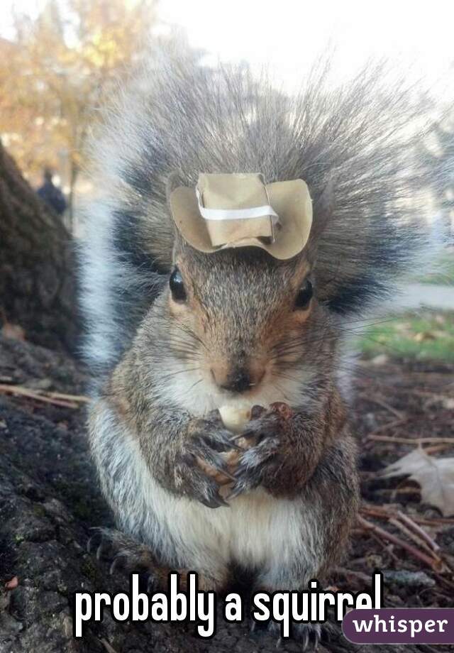 probably a squirrel