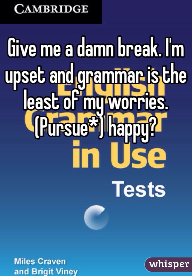 Give me a damn break. I'm upset and grammar is the least of my worries. (Pursue*) happy?