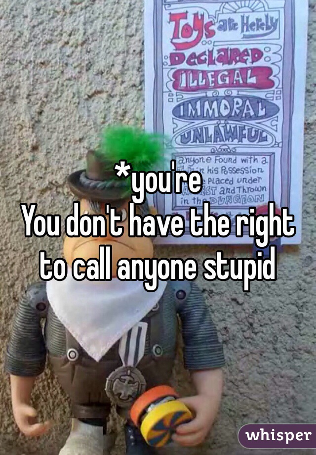 *you're 
You don't have the right to call anyone stupid