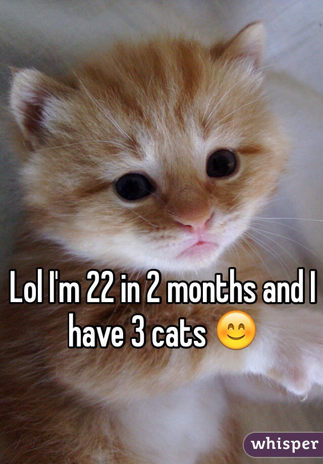 Lol I'm 22 in 2 months and I have 3 cats 😊