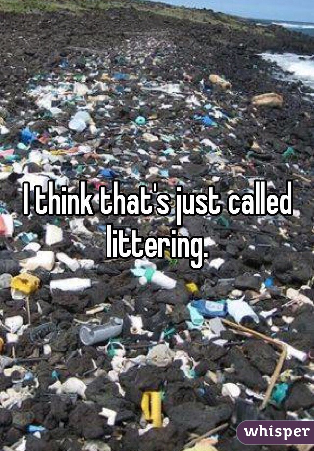 I think that's just called littering.