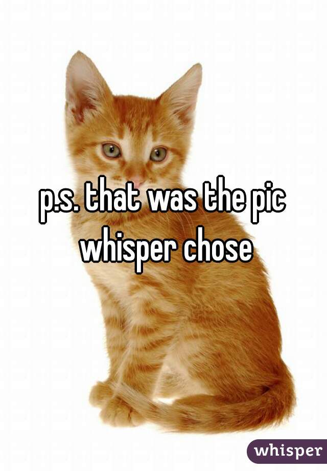 p.s. that was the pic whisper chose