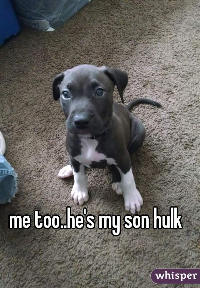 me too..he's my son hulk 