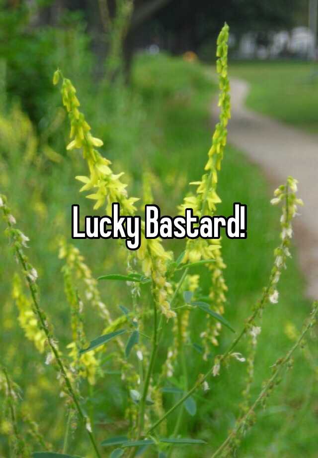 lucky-bastard