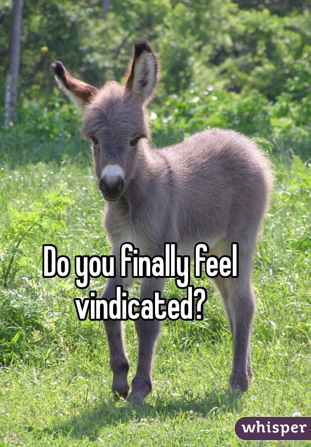 Do you finally feel vindicated?