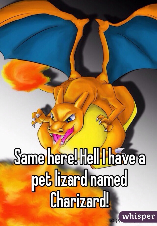 Same here! Hell I have a pet lizard named Charizard!