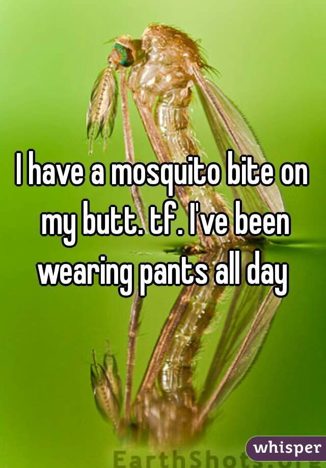 I have a mosquito bite on my butt. tf. I've been wearing pants all day 
