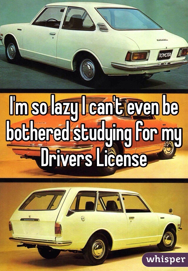 I'm so lazy I can't even be bothered studying for my Drivers License 