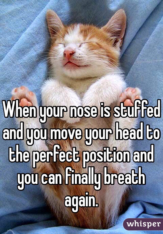 When your nose is stuffed and you move your head to the perfect position and you can finally breath again. 