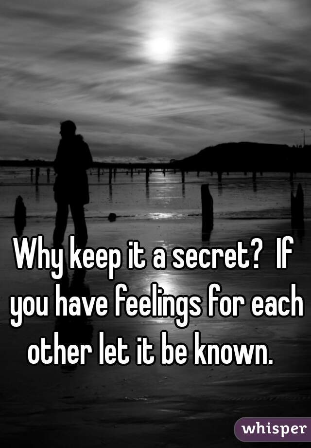 Why keep it a secret?  If you have feelings for each other let it be known.  