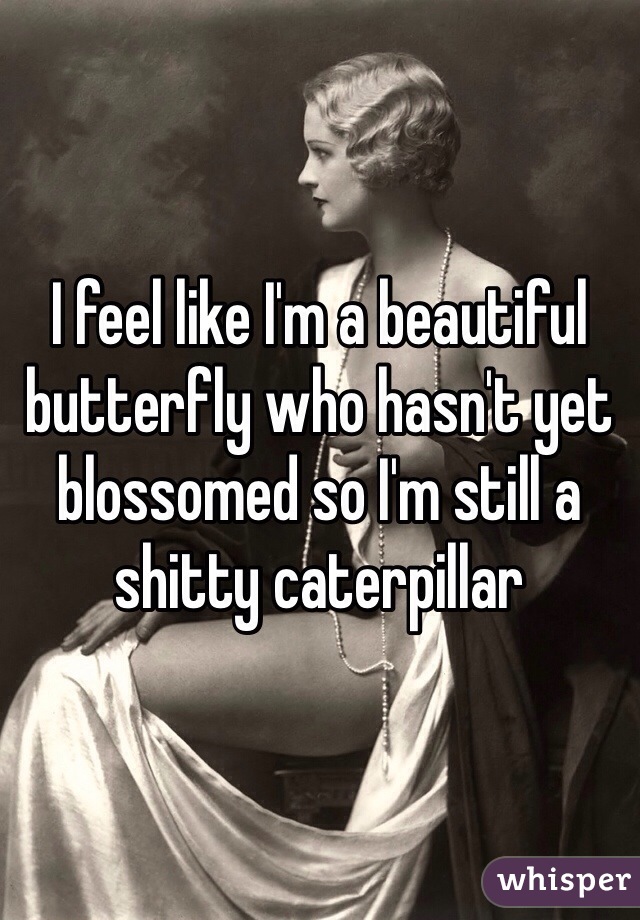 I feel like I'm a beautiful butterfly who hasn't yet blossomed so I'm still a shitty caterpillar 