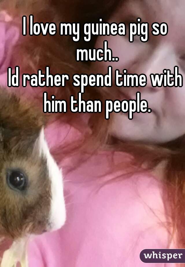 I love my guinea pig so much..
Id rather spend time with him than people.