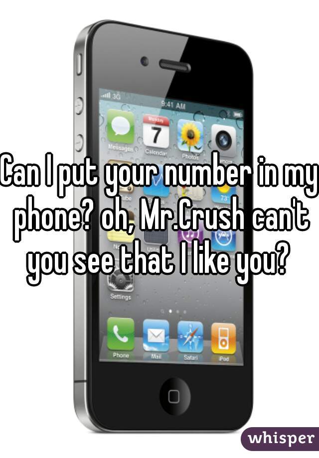 Can I put your number in my phone? oh, Mr.Crush can't you see that I like you? 