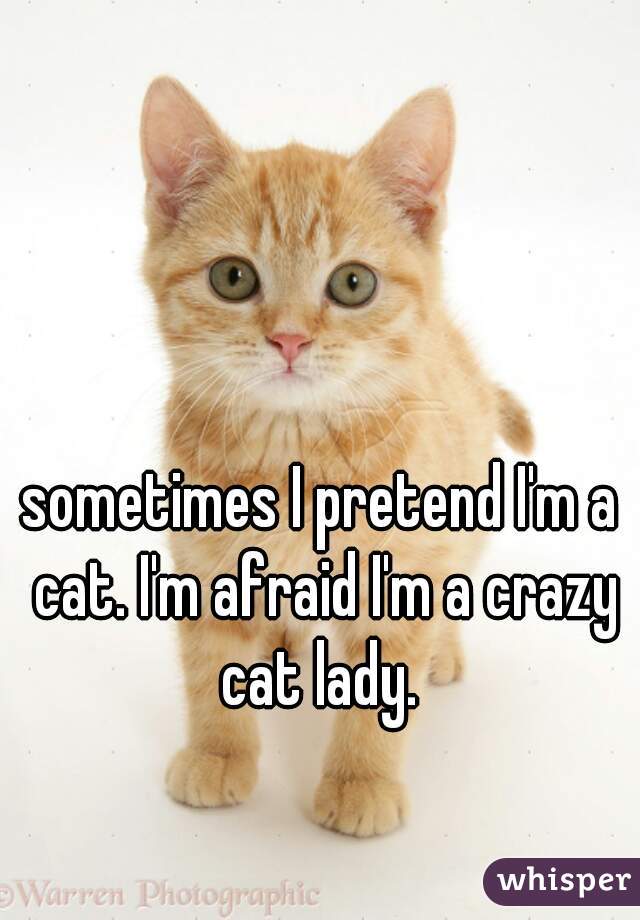 sometimes I pretend I'm a cat. I'm afraid I'm a crazy cat lady. 