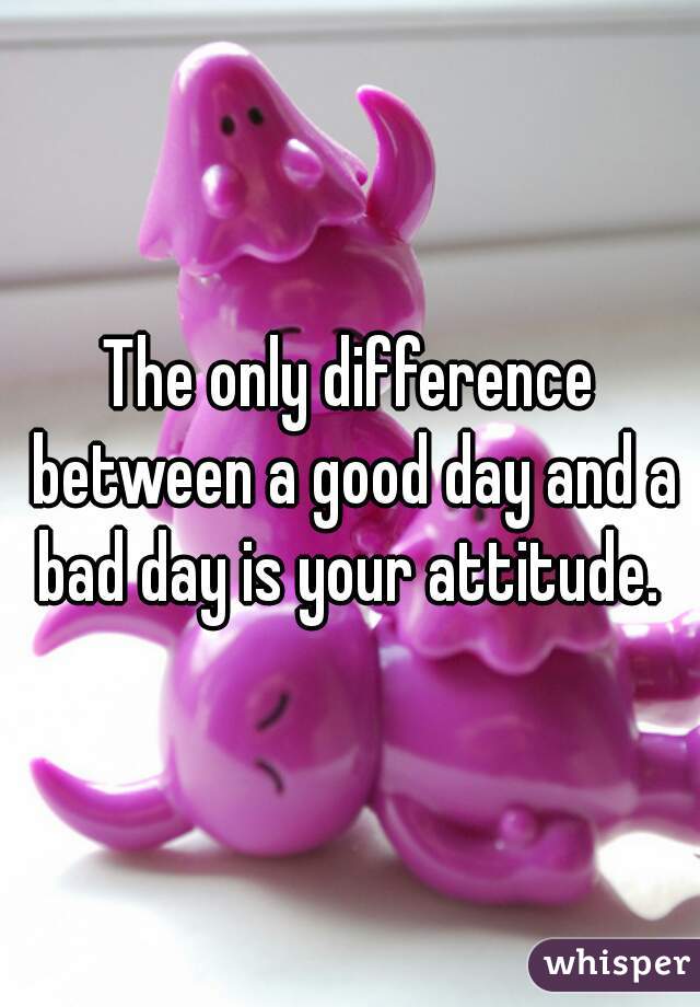 The only difference between a good day and a bad day is your attitude. 