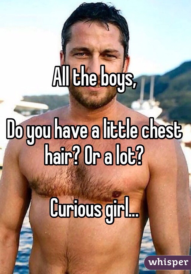 All the boys,

Do you have a little chest hair? Or a lot? 

Curious girl...
