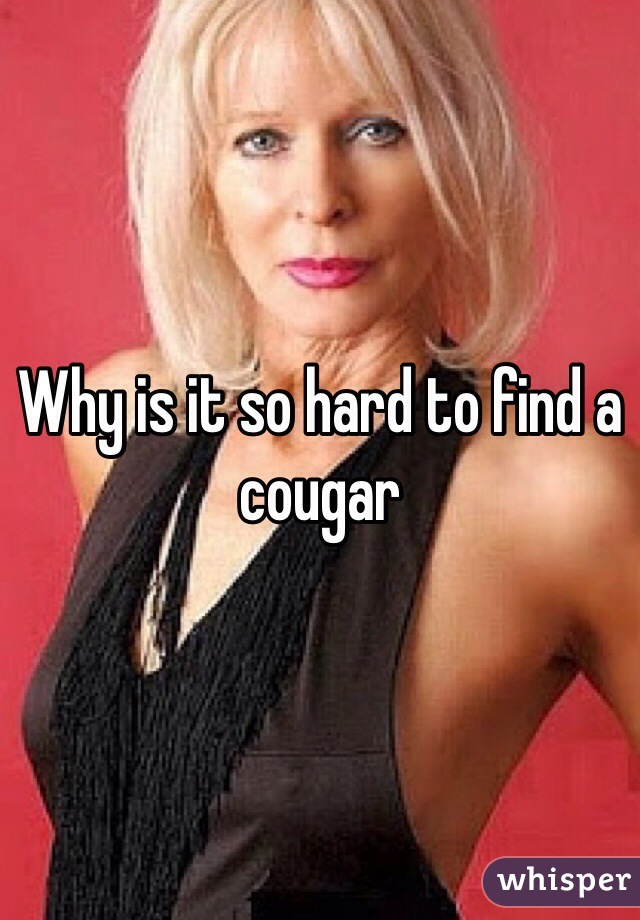 Why is it so hard to find a cougar 