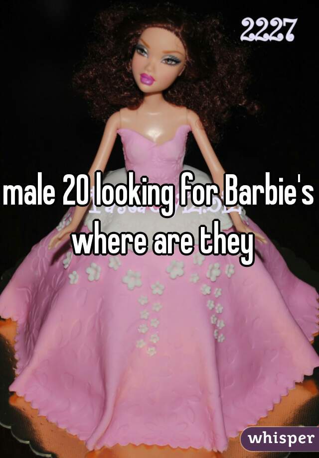 male 20 looking for Barbie's where are they