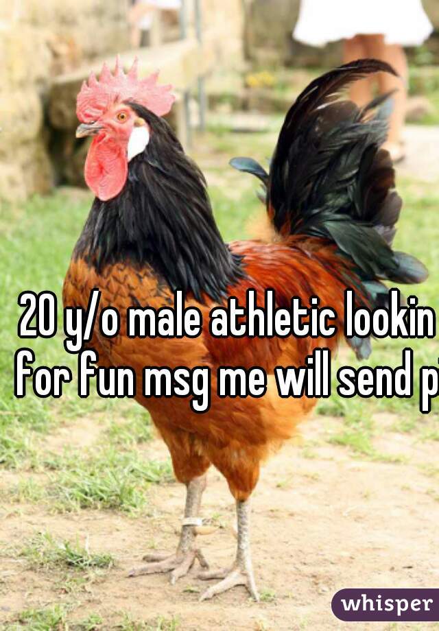 20 y/o male athletic lookin for fun msg me will send pic