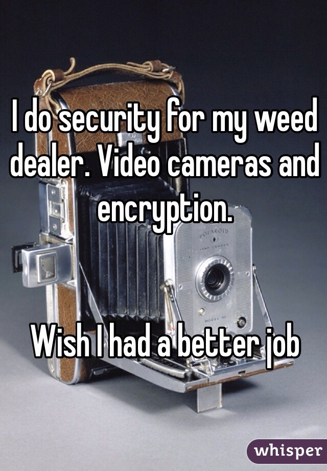 I do security for my weed dealer. Video cameras and encryption. 


Wish I had a better job 