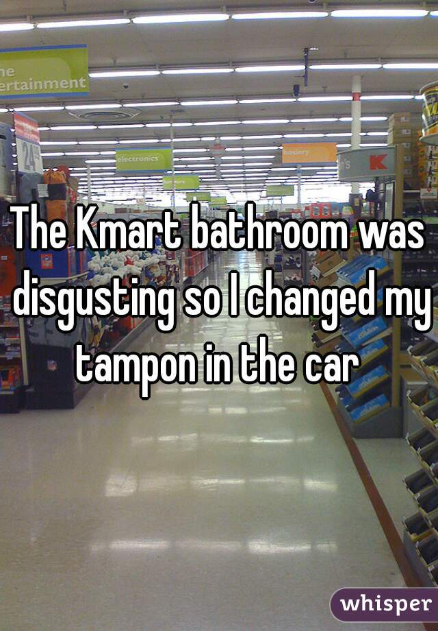 The Kmart bathroom was disgusting so I changed my tampon in the car 