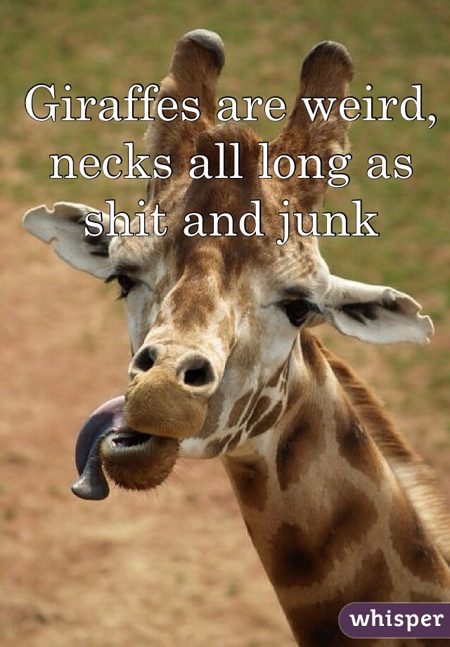 Giraffes are weird, necks all long as shit and junk