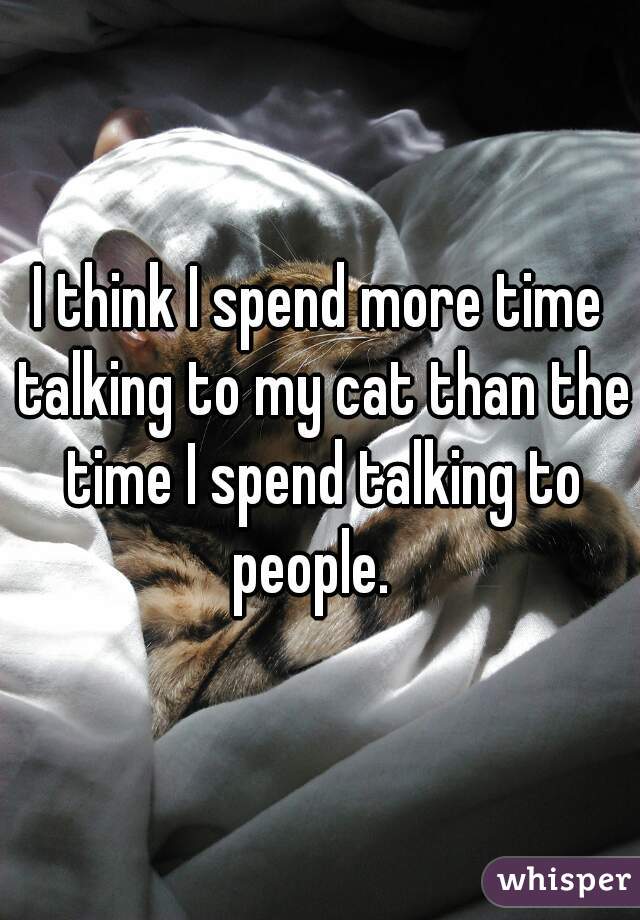 I think I spend more time talking to my cat than the time I spend talking to people.  