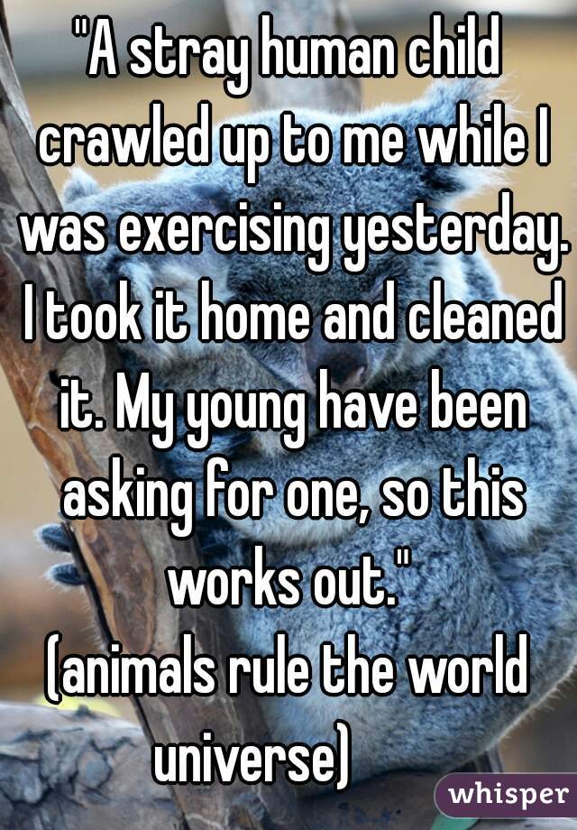 "A stray human child crawled up to me while I was exercising yesterday. I took it home and cleaned it. My young have been asking for one, so this works out." 
(animals rule the world universe)       